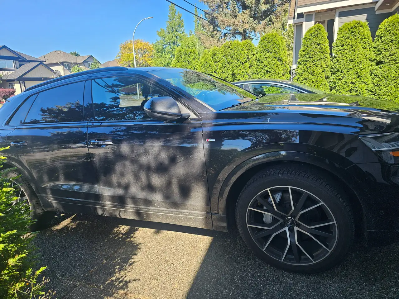 2019 Audi Q8