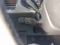SEAT Leon 1.6 tdi Xcellence 115cv Blanc - thumbnail 18