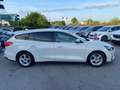 Ford Focus 1.5 EcoBlue 120 CV automatico SW Business Co-Pilot Bianco - thumbnail 5
