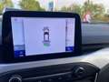 Ford Focus 1.5 EcoBlue 120 CV automatico SW Business Co-Pilot Bianco - thumbnail 8