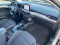 Ford Focus 1.5 EcoBlue 120 CV automatico SW Business Co-Pilot Bianco - thumbnail 14