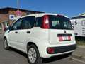Fiat Panda Pop*TÜV*INSPEKTION* Weiß - thumbnail 7