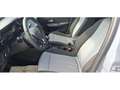 Opel Corsa F 1.2 Edition KLIMA PDC SHZ FACEL. LED Grigio - thumbnail 7