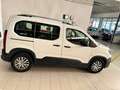 Peugeot Rifter 1.5BlueHDi Standard Active 75 Blanco - thumbnail 2