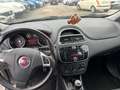 Fiat Punto Punto 5p 1.2 Lounge E6 TG. FD263BX Nero - thumbnail 11