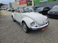 Volkswagen Käfer Cabriolett Alb - thumbnail 2