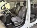 Ford Tourneo Courier Ambiente Weiß - thumbnail 19