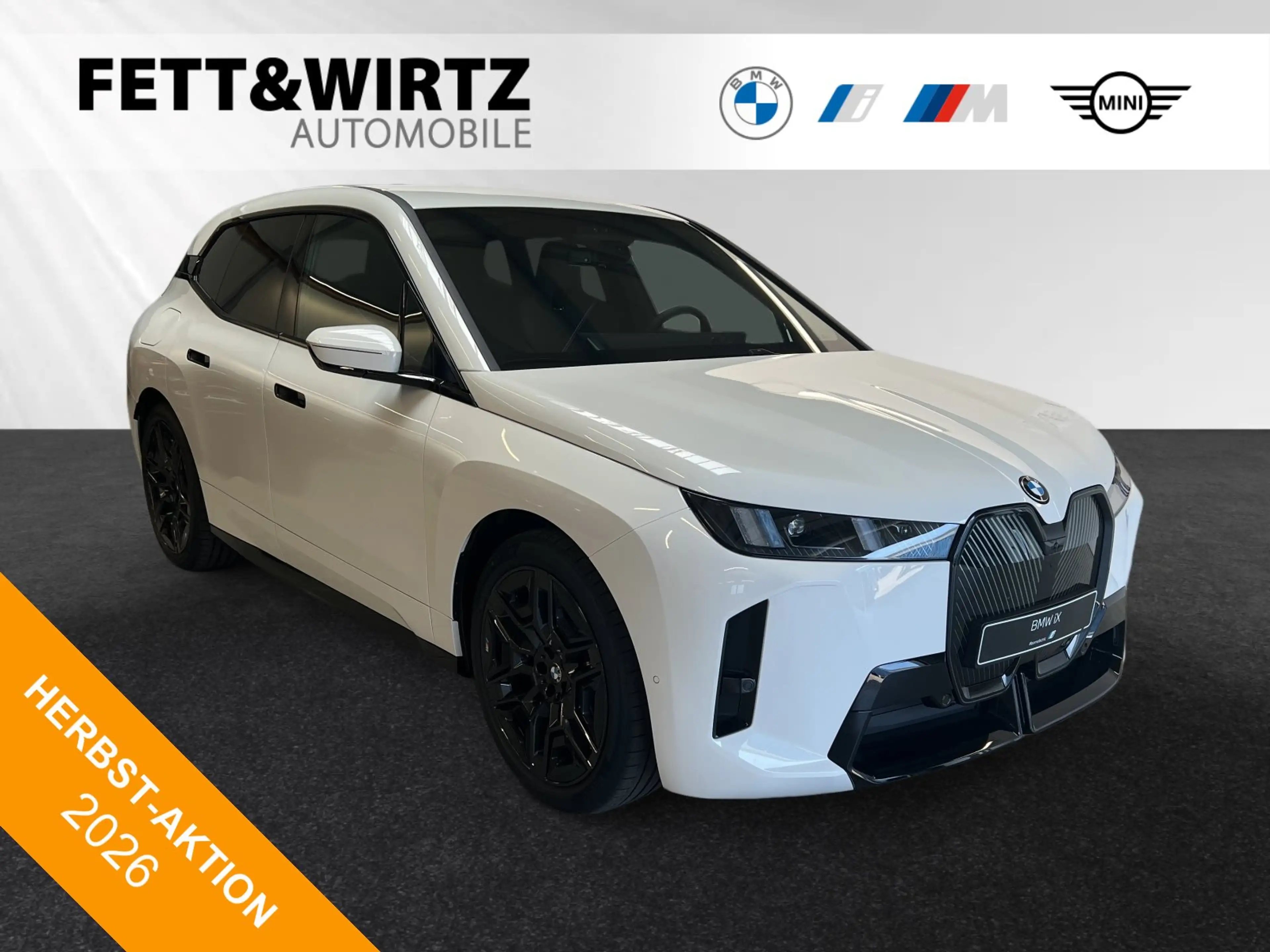 BMW iX xDrive45 M Sport|AHK|DA&PA-Prof.|H/K