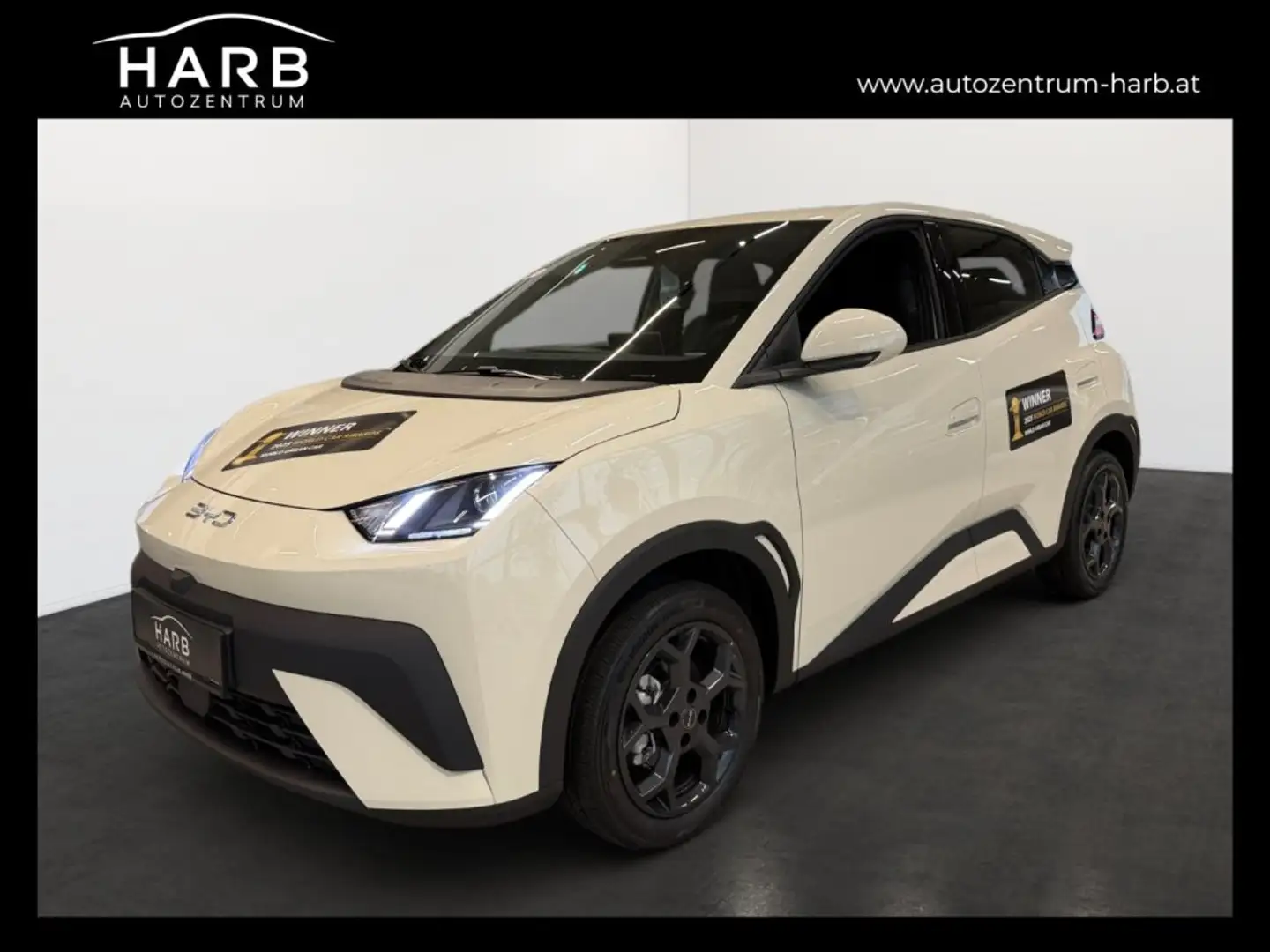 BYD Dolphin Surf Boost Weiß - 1