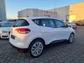 Renault Scenic ENERGY TCe 115 "Lückenlos Scheckheft" Allwetter Weiß - thumbnail 3