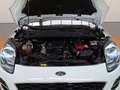 Ford Puma 1.0 EcoBoost MHEV Titanium 125 Blanco - thumbnail 38