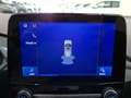 Ford Puma 1.0 EcoBoost MHEV Titanium 125 Blanco - thumbnail 23
