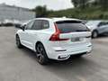 Volvo XC60 2.0 B4 D Plus Dark Auto Blanco - thumbnail 4
