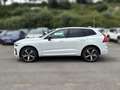 Volvo XC60 2.0 B4 D Plus Dark Auto Blanco - thumbnail 3