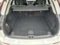 Volvo XC60 2.0 B4 D Plus Dark Auto Blanco - thumbnail 18