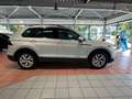 Volkswagen Tiguan 2.0TDI 4MOTION Elegance*AHK*STANDHEIZ* Weiß - thumbnail 4