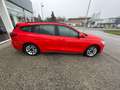 Ford Focus Turnier 1,0 EcoBoost Hybrid Cool & Connect Rot - thumbnail 15