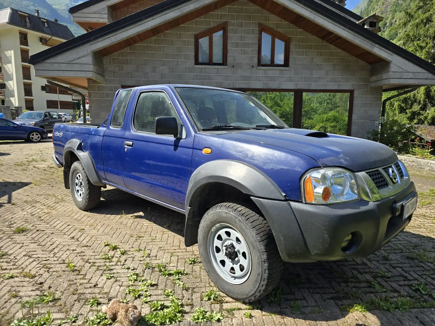 Nissan King Cab King Cab 1998 2.5 td s/airbag 133cv Blu/Azzurro - 1