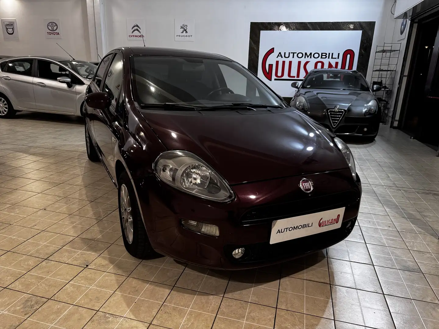 Fiat Punto Evo 5p 1.4 Dynamic s&s 77cv dual - 1