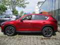 Mazda CX-5 2.2L  AD'VANTAGE SKYACTIV D 150 Rot - thumbnail 6