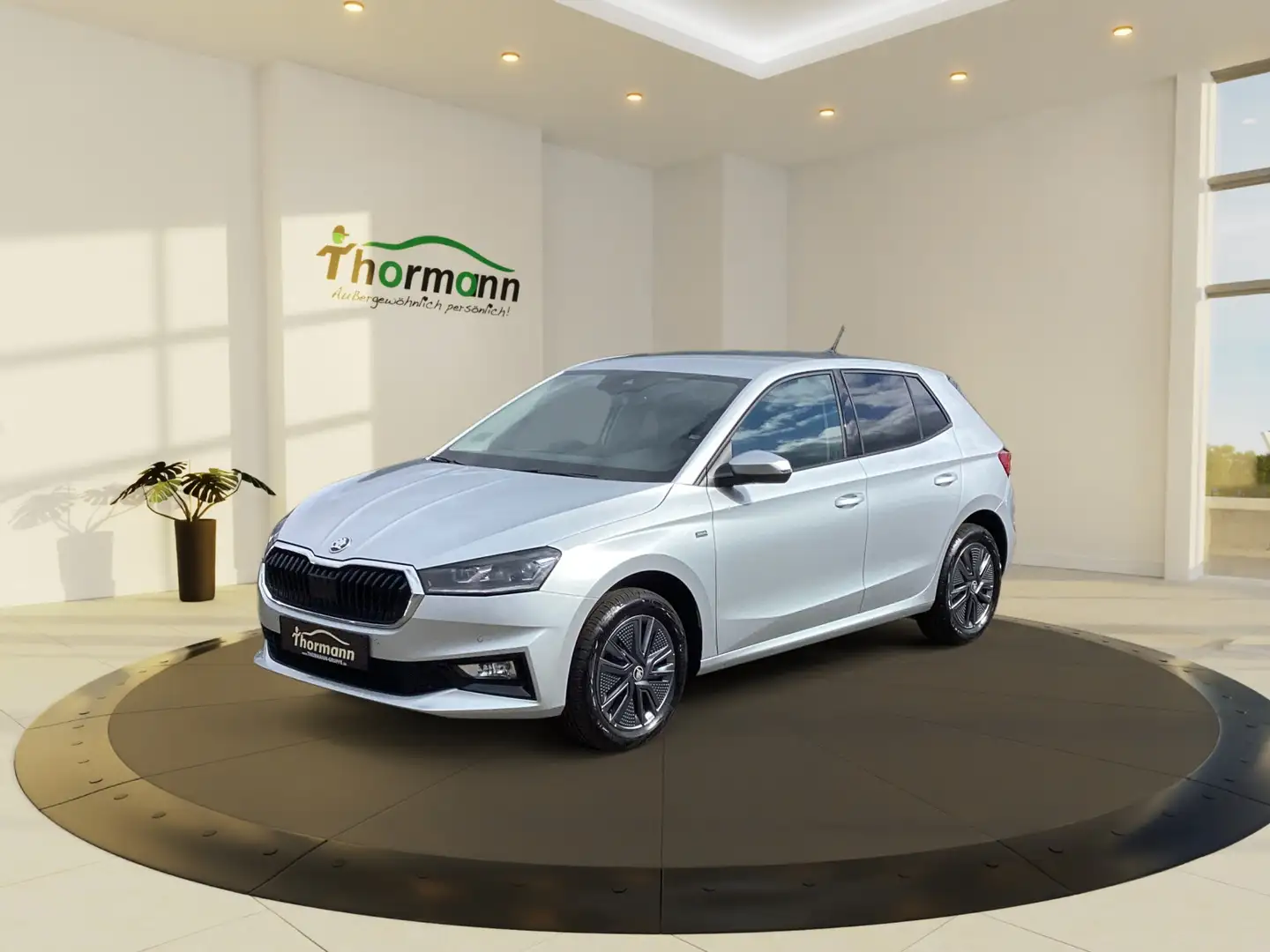 Skoda Fabia 1.0 TSI Tour SmartLink,Sitzheiz,LaneAssist, Silber - 2