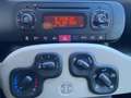 Fiat Panda Panda 0.9 t.air t. natural power Lounge 80cv E6 Nero - thumbnail 10