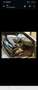 Porsche Cayman S 3,4 - thumbnail 7