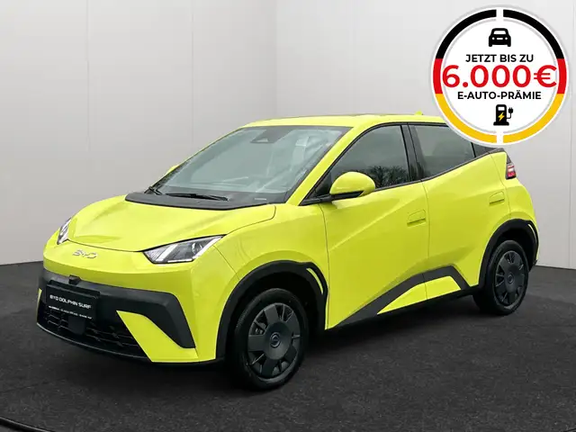 BYD Dolphin DOLPHIN SURF Active