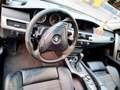 BMW 525 525d Niebieski - thumbnail 9