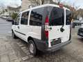 Fiat Doblo 1.2 Trofeo BT/ KEIN TÜV Weiß - thumbnail 5