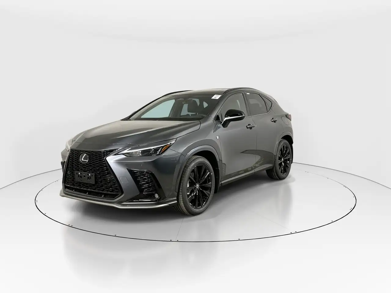 Lexus NX снимка Lexus NX