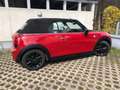 MINI Cooper Cabrio MINI Cooper Cabrio Cooper Rot - thumbnail 14