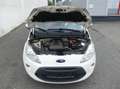 Ford Ka/Ka+ Ka 1.2 Titanium Klimaautomatik HU/AU 10/2025 Weiß - thumbnail 17