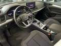 Audi Q5 Q5 Sportback 35 2.0 tdi  Busines Advanced s-tronic Grigio - thumbnail 6