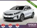 Kia XCeed DCT MY26 FullLED GPS 2xPDC Cam PrivG Blanc - thumbnail 1
