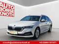 Skoda Octavia Ambition 4x4 AHV schwenkbar,Led, Virtual usw... Weiß - thumbnail 1