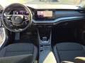 Skoda Octavia Ambition 4x4 AHV schwenkbar,Led, Virtual usw... Weiß - thumbnail 14
