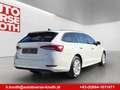 Skoda Octavia Ambition 4x4 AHV schwenkbar,Led, Virtual usw... Weiß - thumbnail 5