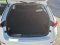Skoda Octavia Ambition 4x4 AHV schwenkbar,Led, Virtual usw... Weiß - thumbnail 13
