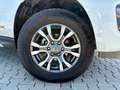 Ford Ranger Wildtrak Doppelkabine 4x4 2.0 TDCi Rollo Weiß - thumbnail 11
