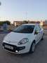 Fiat Punto Evo 1.4 Dynamic 105 S&S - thumbnail 1