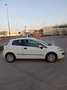 Fiat Punto Evo 1.4 Dynamic 105 S&S - thumbnail 5