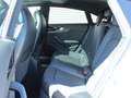 Audi RS5 Sportback 2.9 TFSI quattro Matrix Navi Panorama... Grey - thumbnail 9