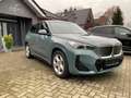BMW iX1 30 xDrive M Sport,HeadUp,Navi,Kamera Grün - thumbnail 3