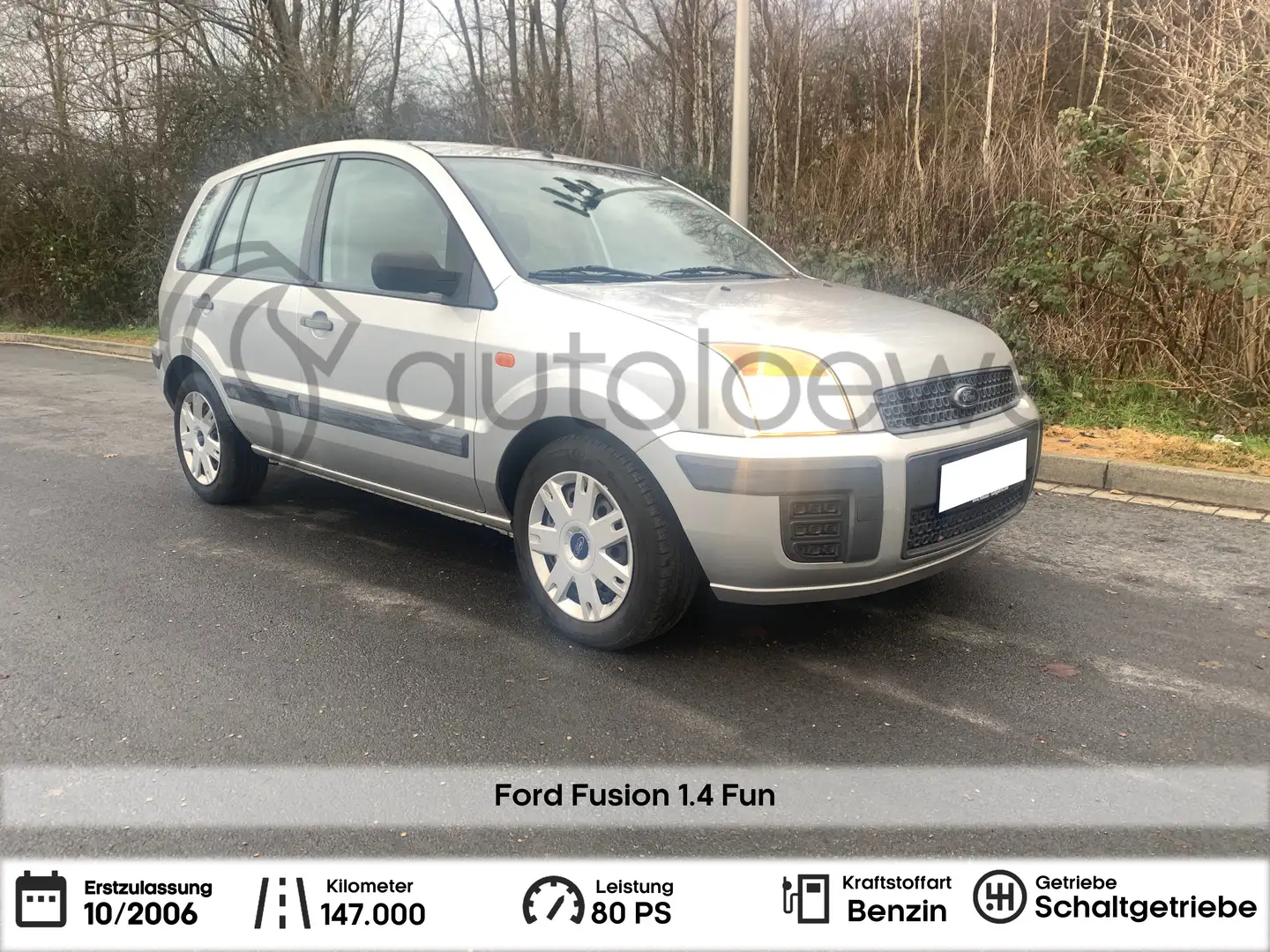 Ford Fusion Fun X (CBK) Silver - 1