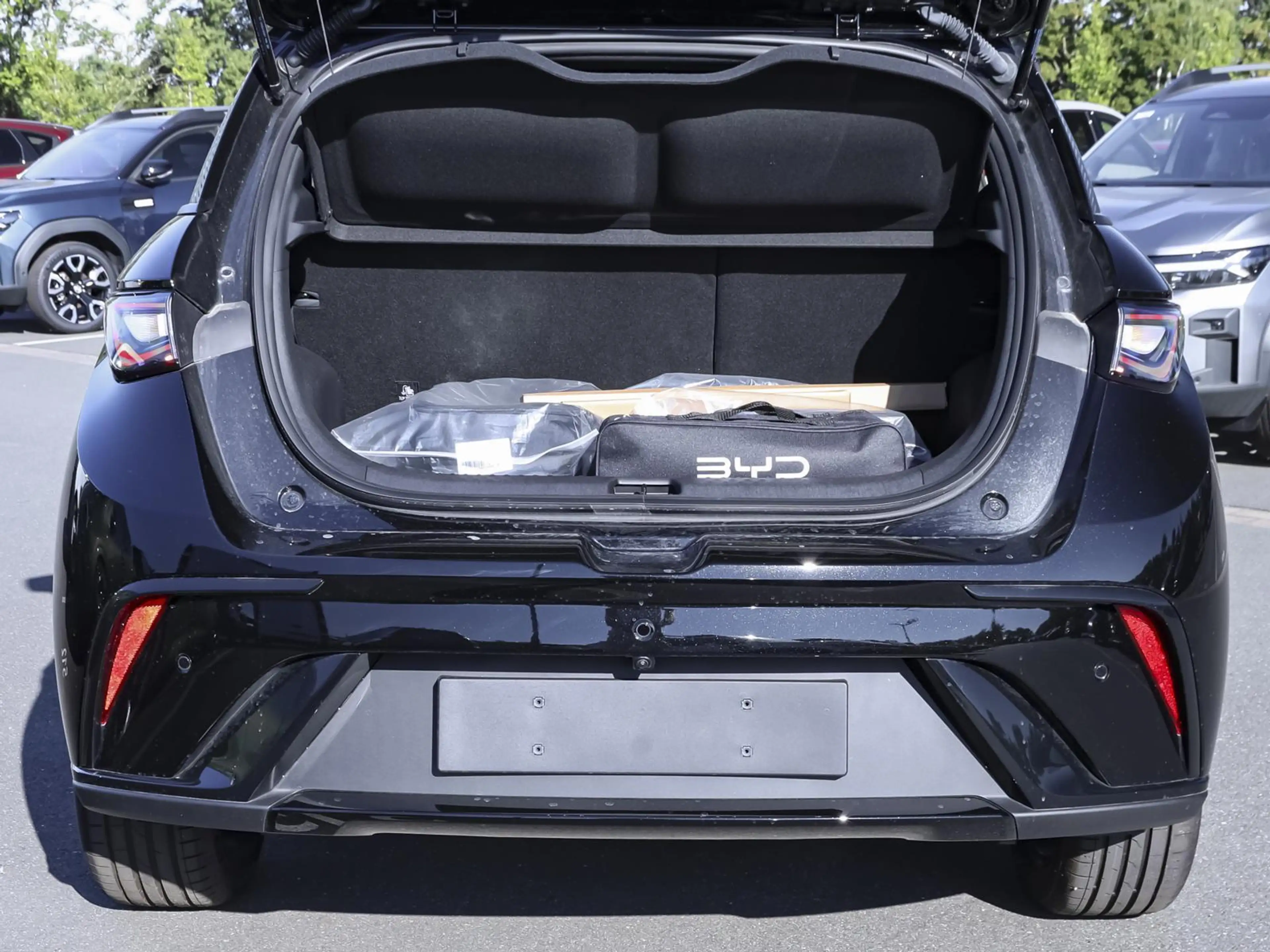 BYD Dolphin Comfort NAVI SHZ PDC — photo 7
