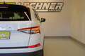 Skoda Kodiaq 2.0 TDI DSG "AHK*VIRTUAL*LEDER*PANO" Weiß - thumbnail 6