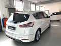 Ford S-Max S-Max 2.0 ecoblue Vignale awd s Wit - thumbnail 6