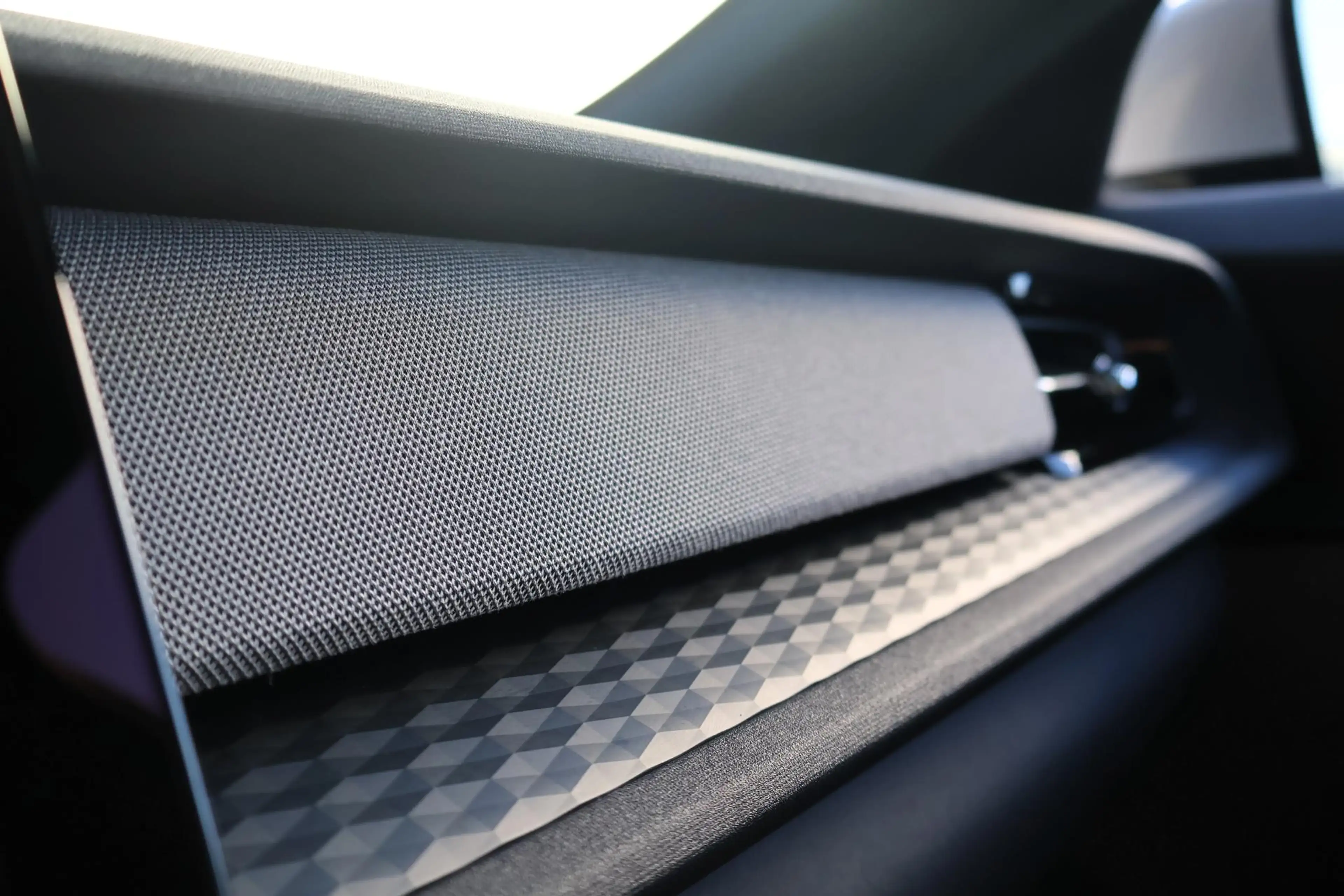 Polestar 2 Long Range Single Motor 82 kWh Verwarmde voorstoel — photo 12
