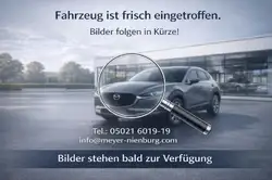 Ford Tourneo Custom 320 L1 Aut. Titanium FWD Navi/AHK